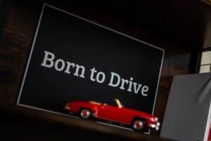 Born To Drive Schild